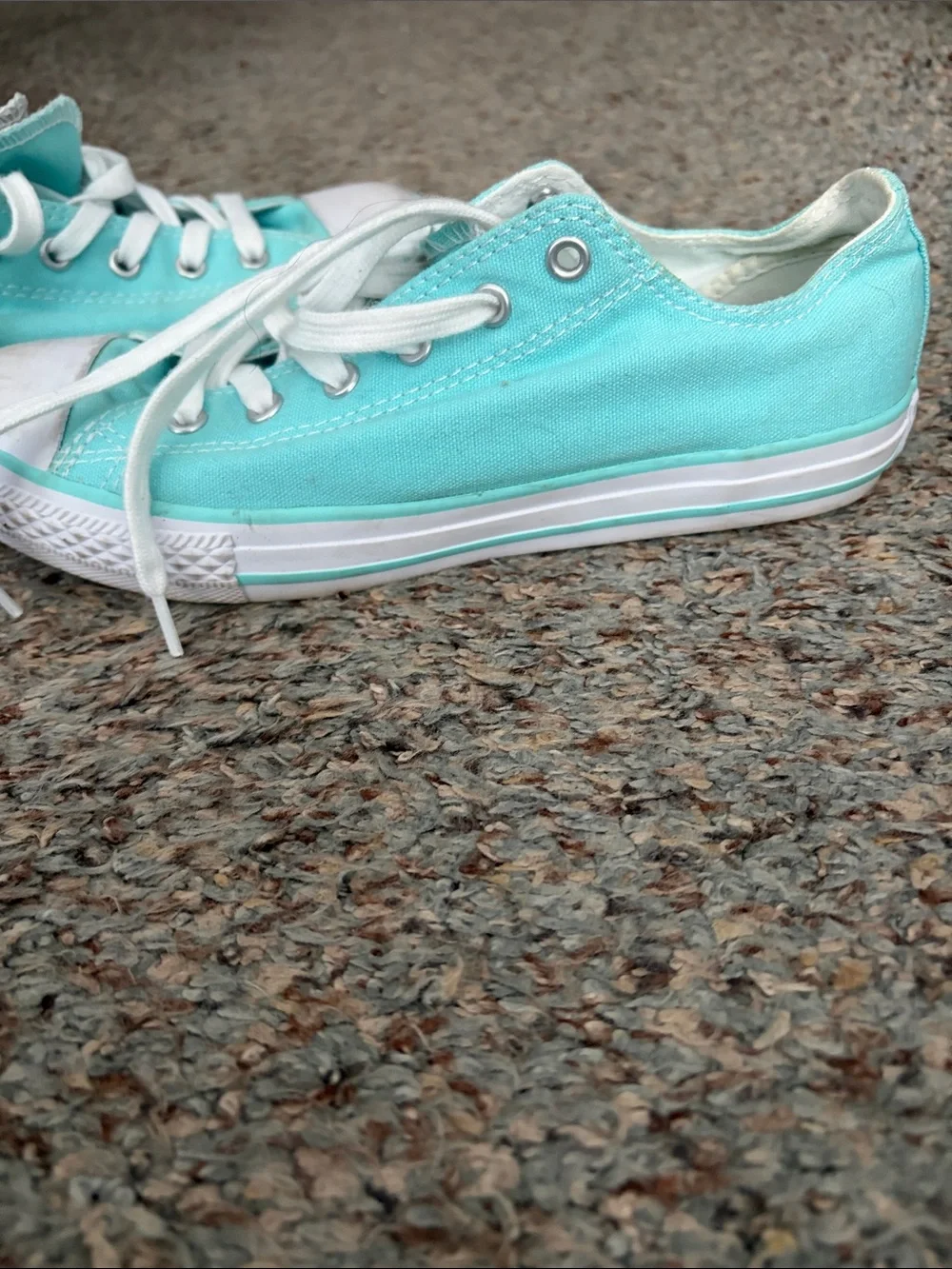 Converse Low Top Sneakers in Teal